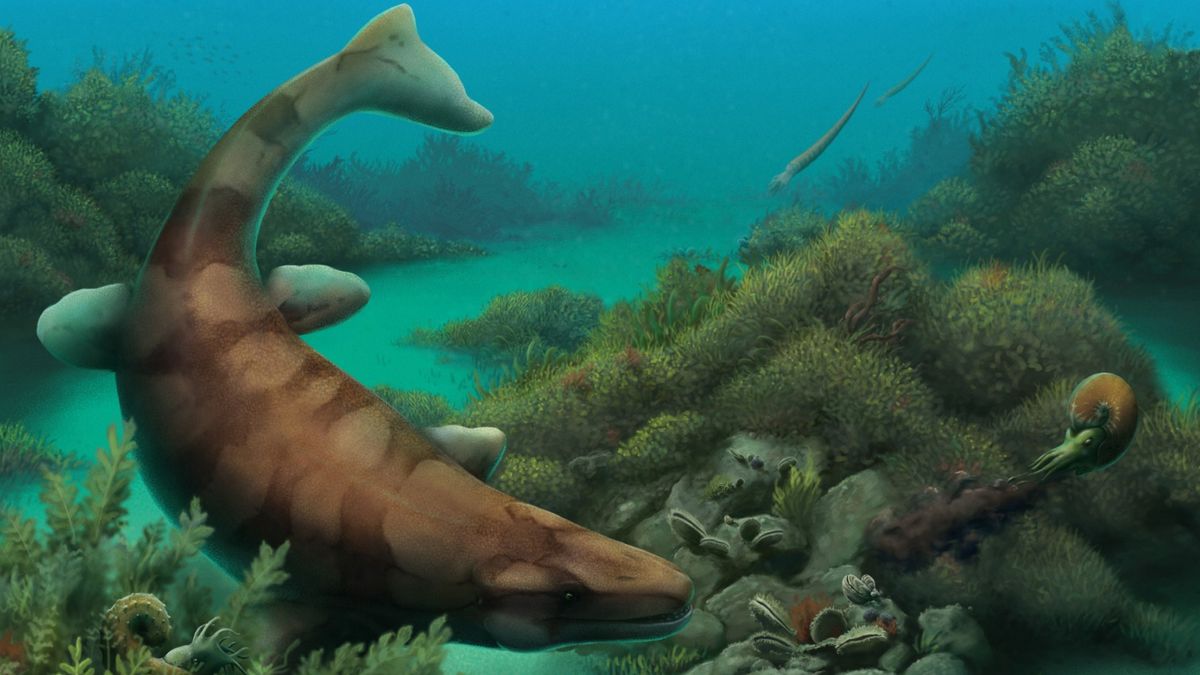 www.livescience.com