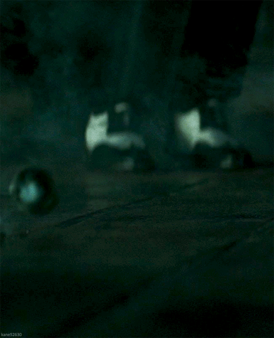 tumblr_o6gsbrfAC81rrkahjo2_540.gif