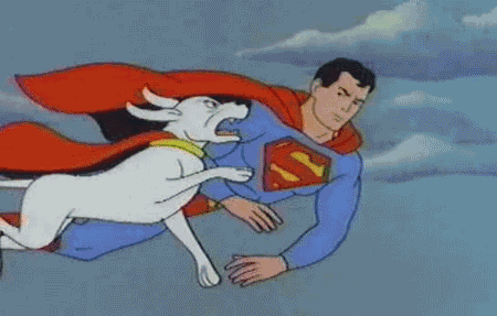 ec5deaf574a1e9b6f6efeafcf605d064.gif