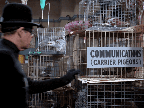 tumblr_ng42b6d6EK1s2wio8o1_500.gif