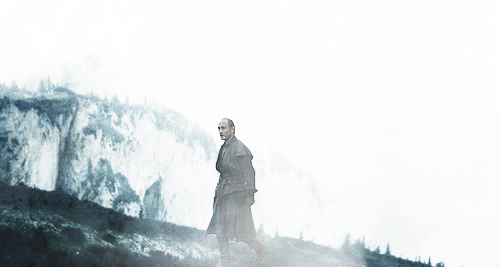 tumblr_movpalbr331rmn8x1o1_500.gif