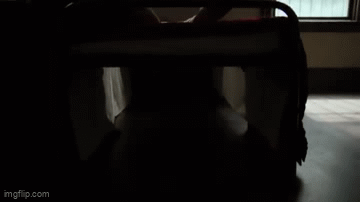 5b025eb43564bc6e7d54d7660cf85321.gif