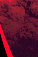 200.gif