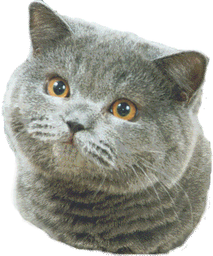 b25272b39abc65888589aba3daa6a09e.gif