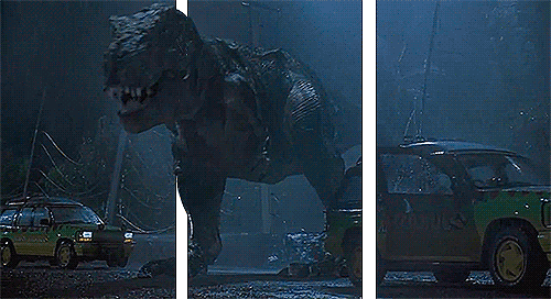 tumblr_nb1sqjRo8A1r1v0fko1_500.gif