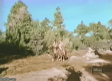 2ifpzf.gif
