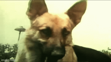7ghbb3.gif