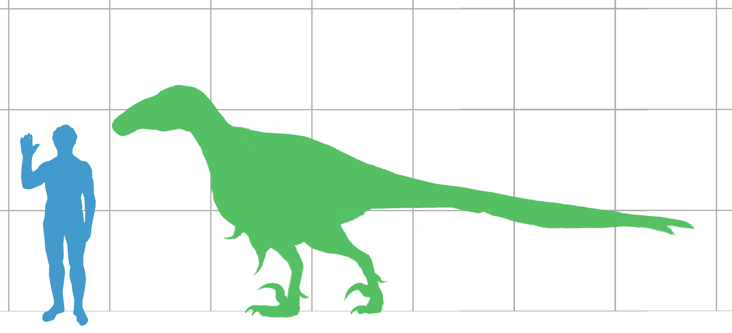 Utahraptor_scale.png