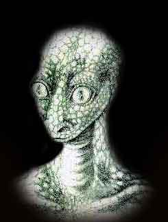 logo_reptoid_tete.jpg