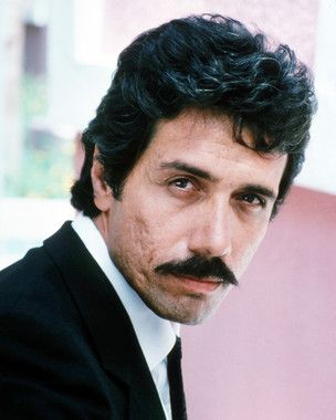 2c80b7c0385db5b3c698bd8f55233887--miami-vice-tv-movie.jpg