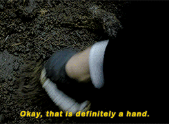 tumblr_nn7qqaWX1P1sdv4q6o3_250.gif