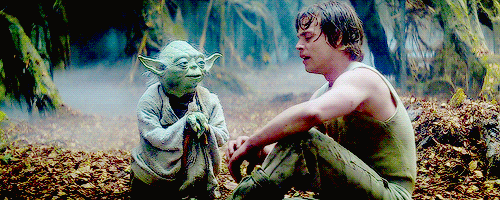 tumblr_nfkj2c04pf1tu6tfso4_500.gif