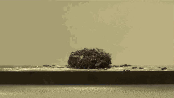 Ant-ball.gif