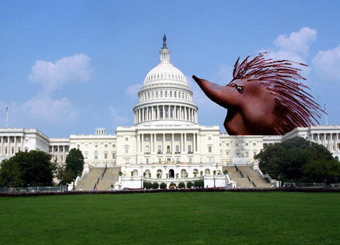 8923662_67b36f8c8e.jpg