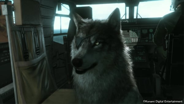 MGSV-DD-Intro.jpg