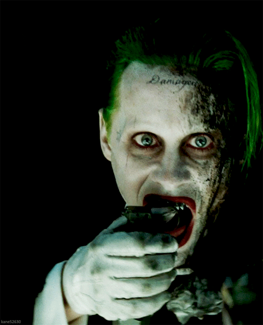 tumblr_o6gsbrfAC81rrkahjo1_540.gif