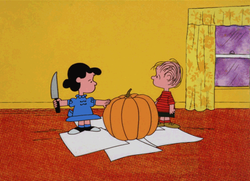 tumblr_maprsszoLM1qh4caho1_500.gif