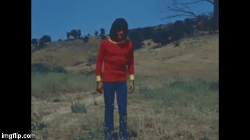 qw377.gif