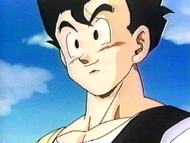 Gohan3.jpg