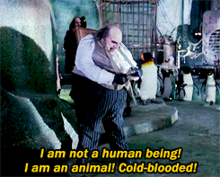 tumblr_na4m76YEdU1rrkahjo1_250.gif