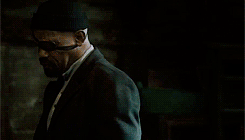 tumblr_ni3h2gTN481s2ru3no8_250.gif