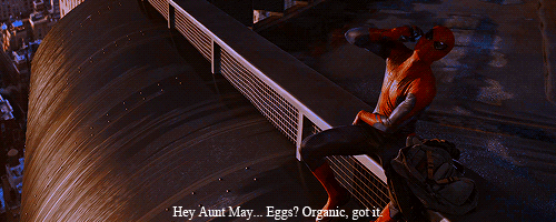 tumblr_mm1j9dOg4W1rkfq7so1_500.gif