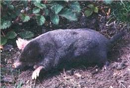 image002.jpg