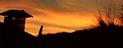 tumblr_mrohvoL2Vx1snwmf0o3_250.gif