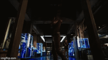 tumblr_ng9norqTOS1tbealgo3_400.gif