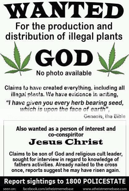 454-Wanted-For-the-production-of-illegal-plants-God-No-photo-available.jpg