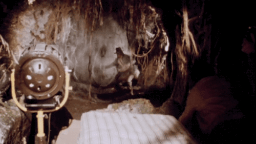 tumblr_nrwowh1cmT1s2wio8o6_500.gif