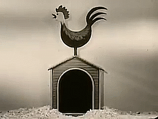 tumblr_nlp02lMuPE1rdredko1_400.gif