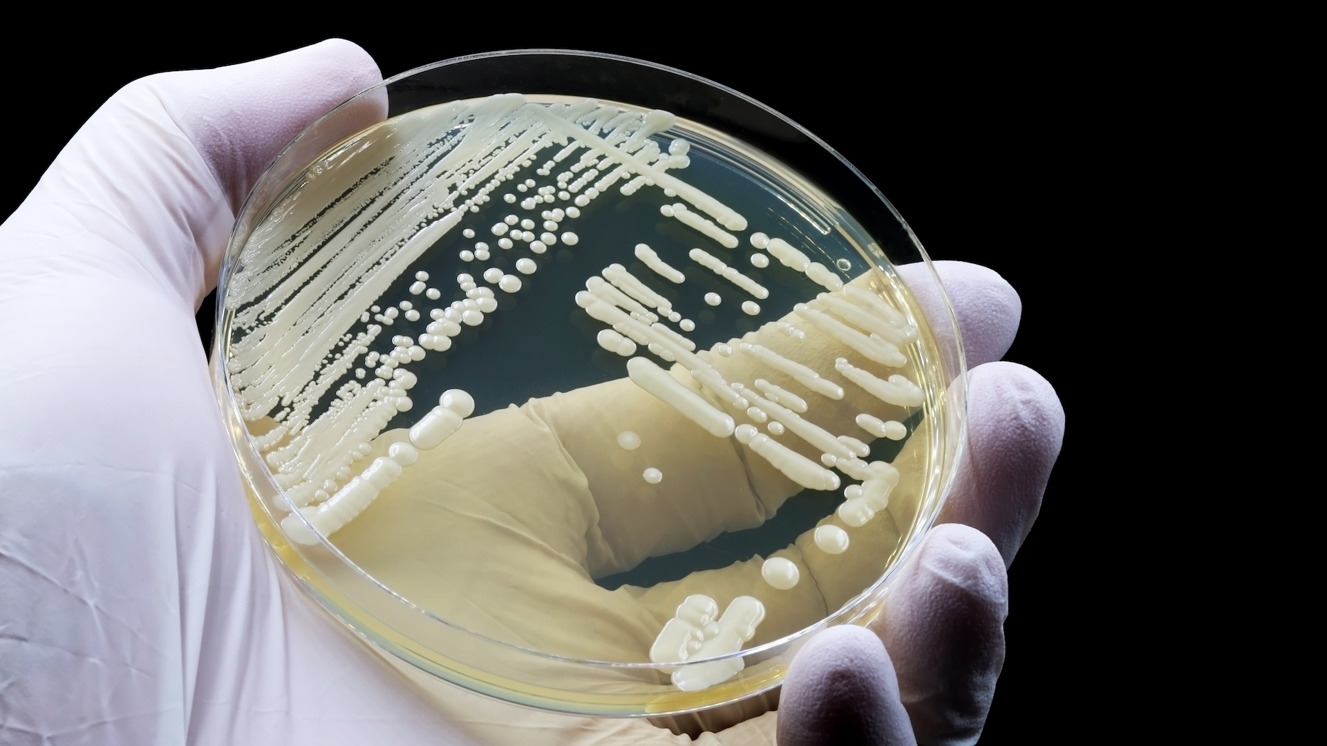 www.livescience.com