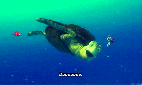tumblr_mfib6c5kf51ry10fwo1_500.gif