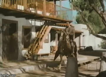2ifrm8.gif