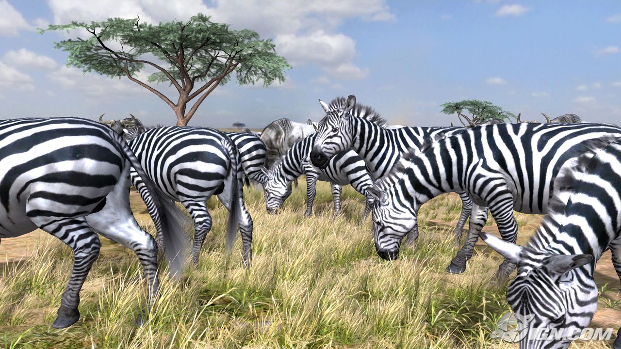 afrika-20060907085509414.jpg