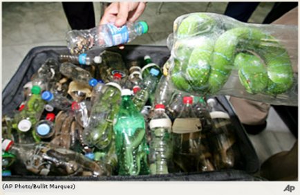 SnakesinBottles.jpg