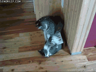 hEA854A77.gif