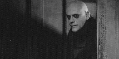 tumblr_m6yhrxvSjf1rxg4hio1_500.gif
