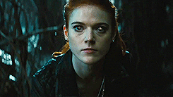 tumblr_nsopv93RKr1ut8i28o3_250.gif