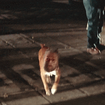 tumblr_nf3zexXU2O1smxjoeo1_500.gif