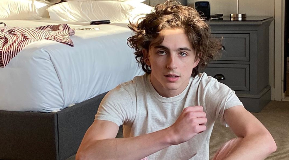 timothee-chalamet-batman-1597973610774.png