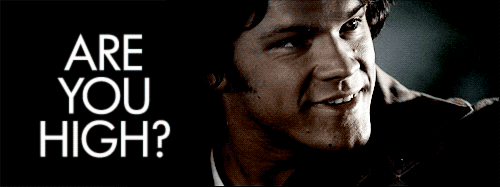 tumblr_lxrjgigkYX1r2xn94.gif