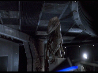 Raptor_-_Look_Up.gif