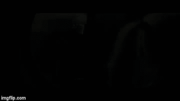 1a4lsw.gif