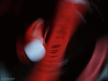 8sjgrg.gif