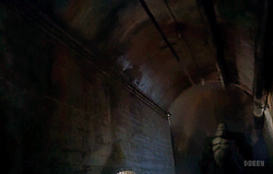 tumblr_njy5vg5sOK1qzucdqo4_250.gif