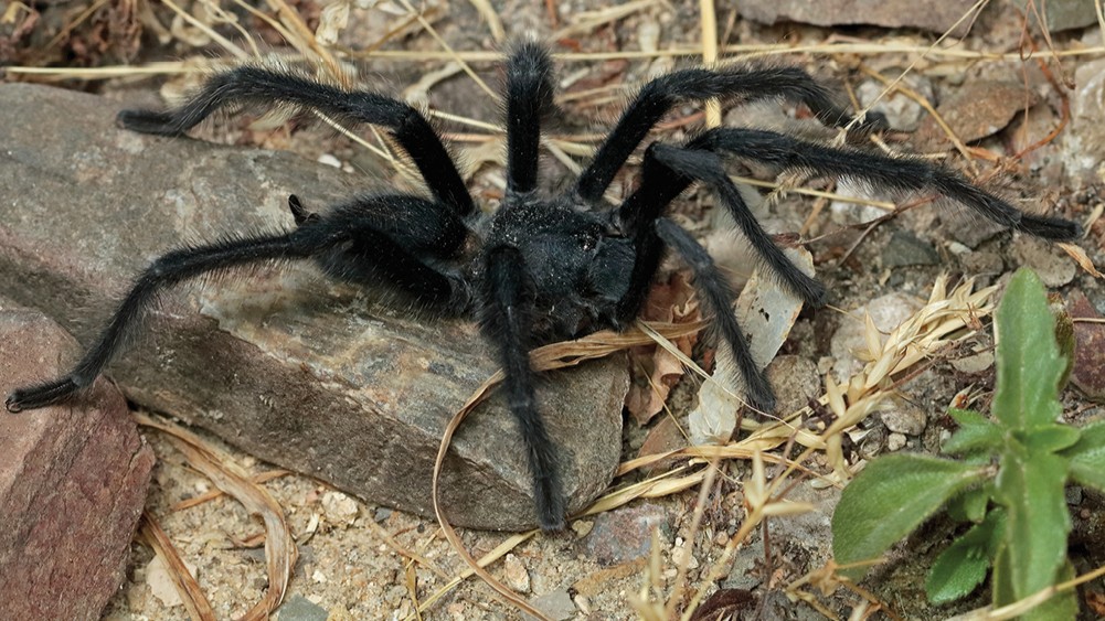 www.livescience.com