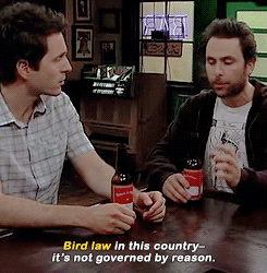 tumblr_npa6w0ToYf1u9u02so1_250.gif
