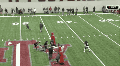 ManzielMiddle.gif